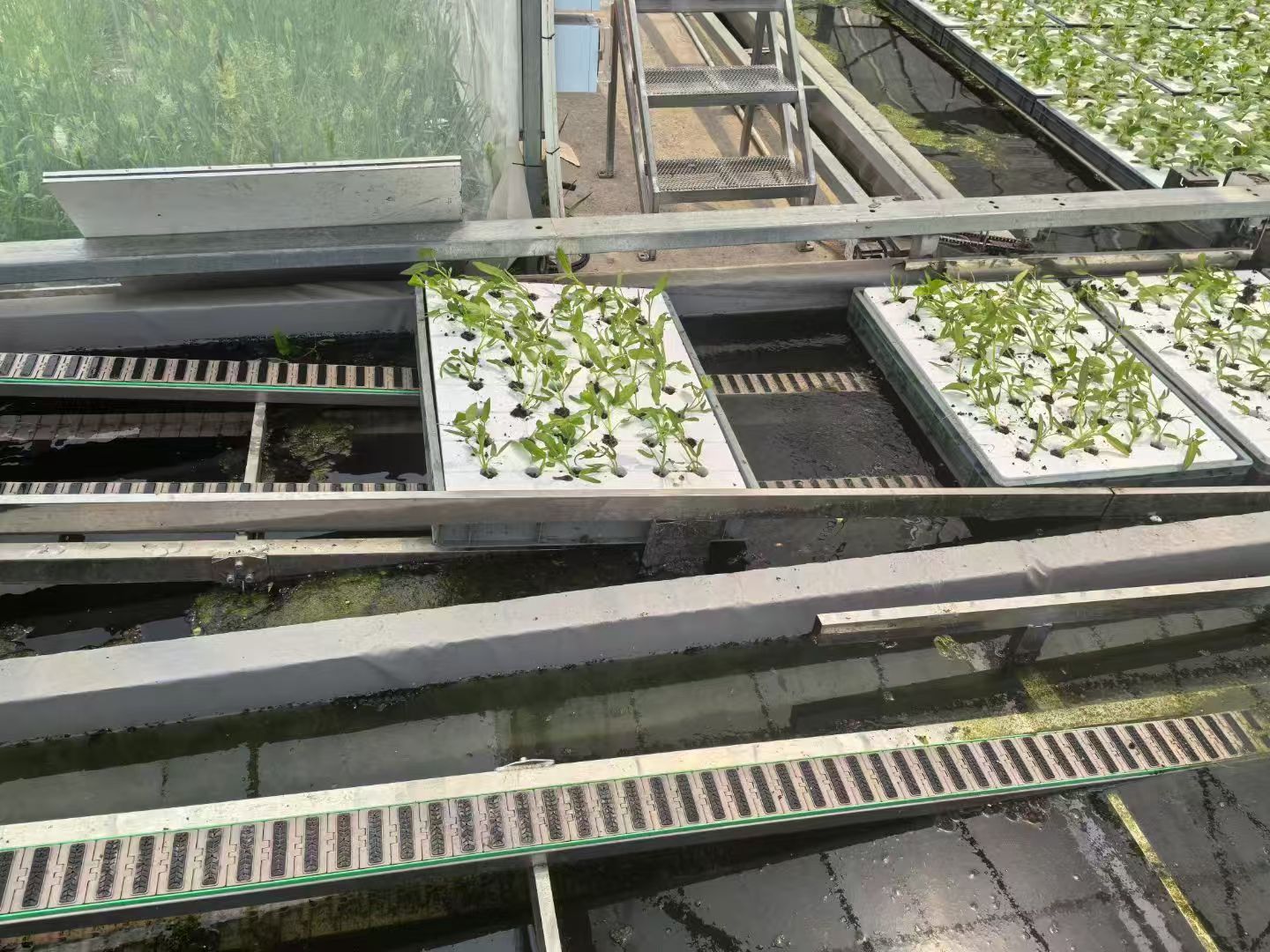 种植基地